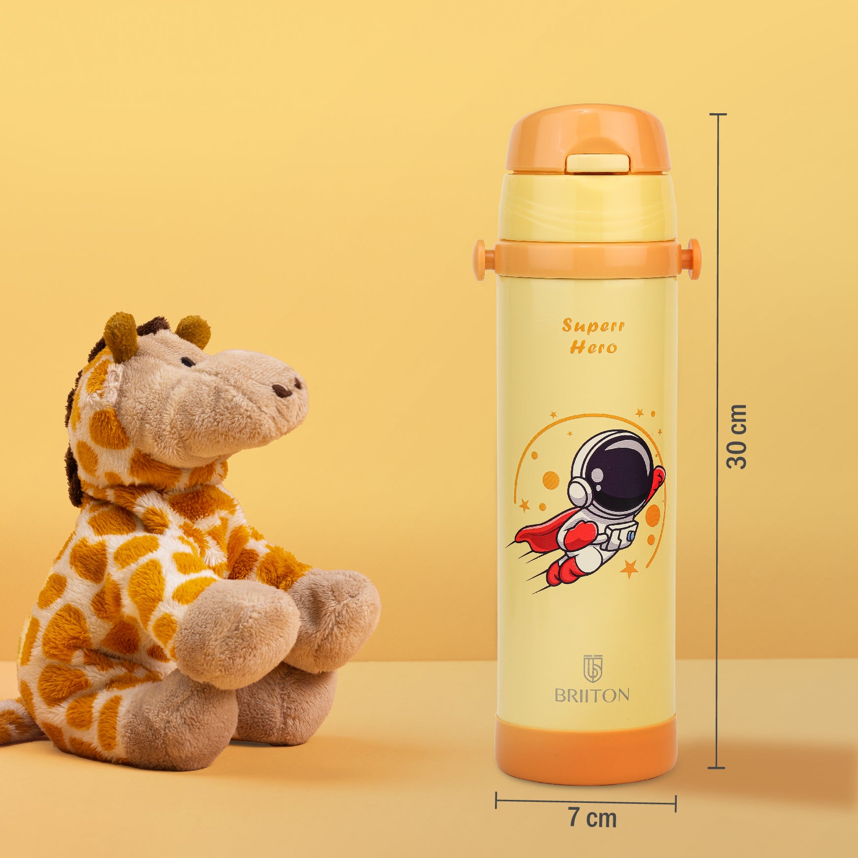 Ginger | BTT9911 | 500ml