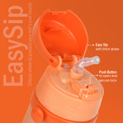 Ginger | BTT9911 | 500ml