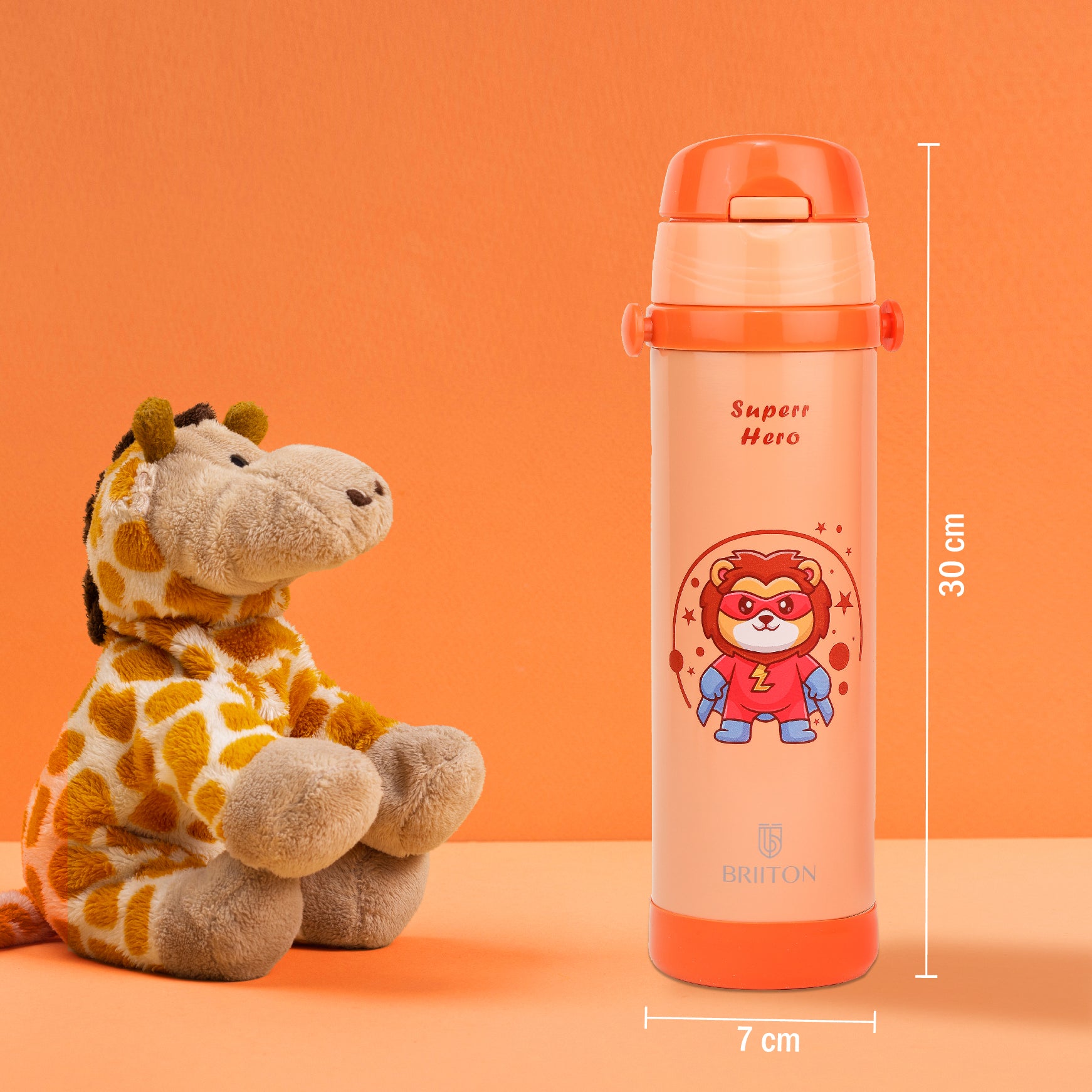 Ginger | BTT9911 | 500ml